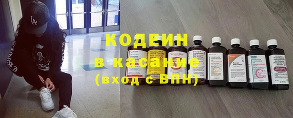 дмт Вяземский