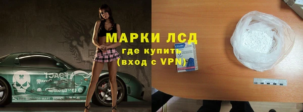 сатива Верея