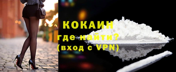 сатива Верея