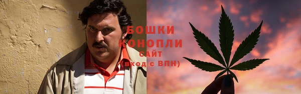дмт Вяземский