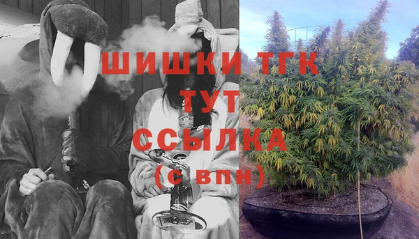 хмурый Верхний Тагил