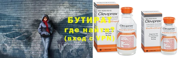 сатива Верея