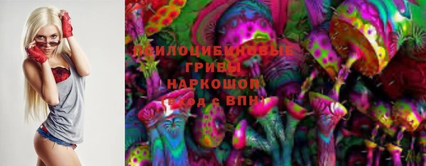 дмт Вяземский