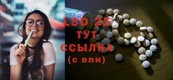 сатива Верея